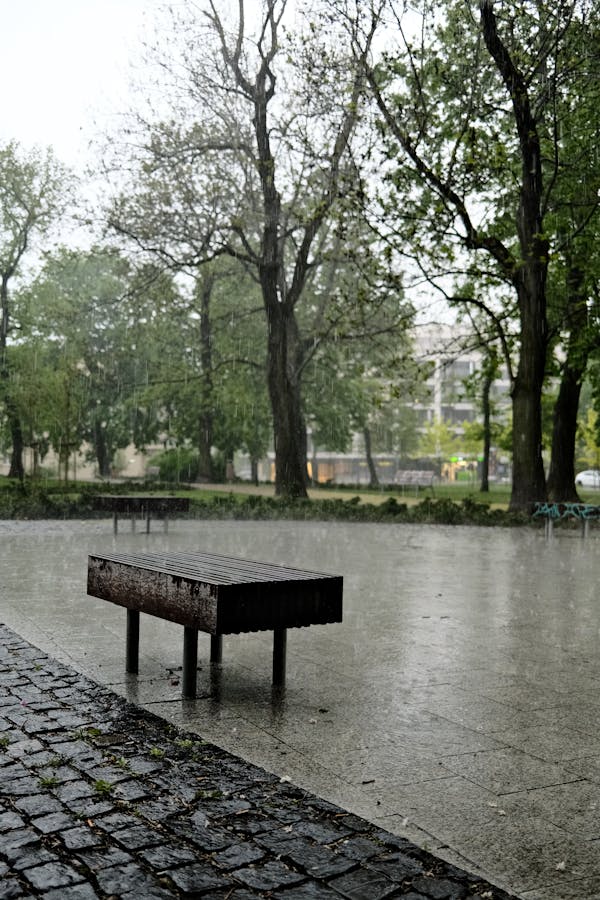 雨の日の公園イメージ