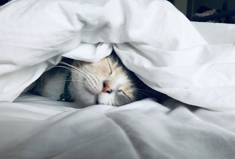 睡眠のイメージ